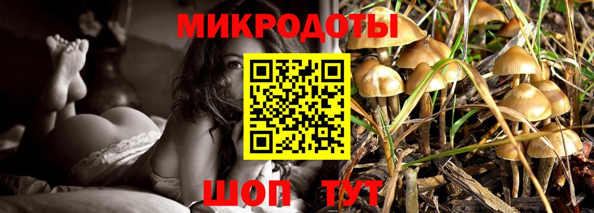 Кимры  купить закладку  Вход с VPN  Псилоцибиновые грибы MAGIC MUSHROOMS 